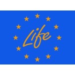 Life Logo