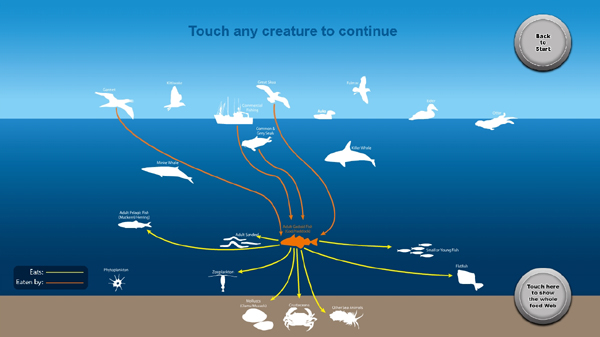 Food web interactive exhibit