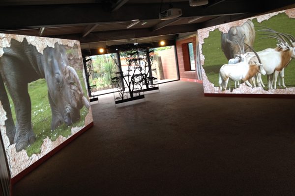 Marwell Zoo interactive